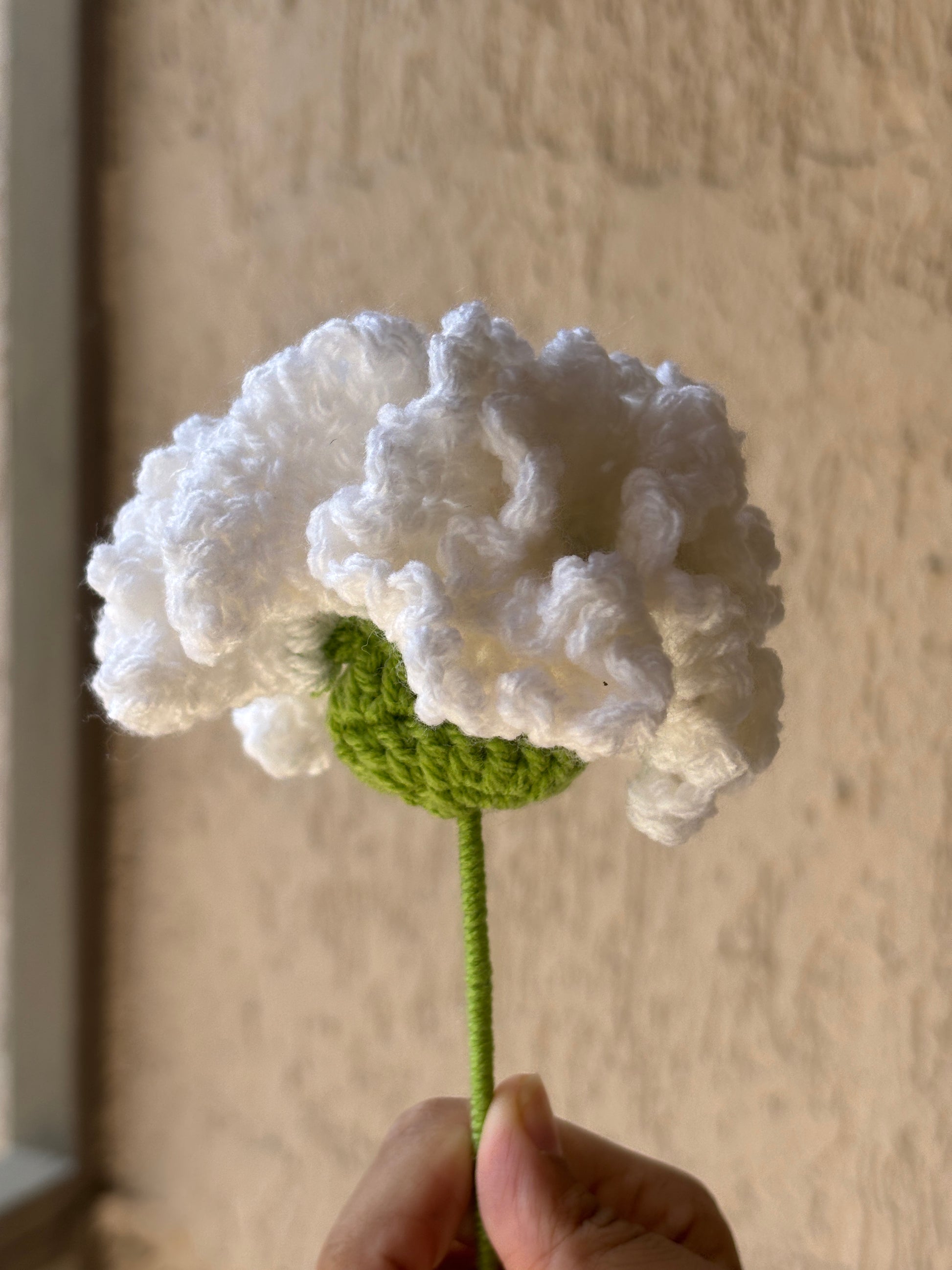 Crochet Carnations
