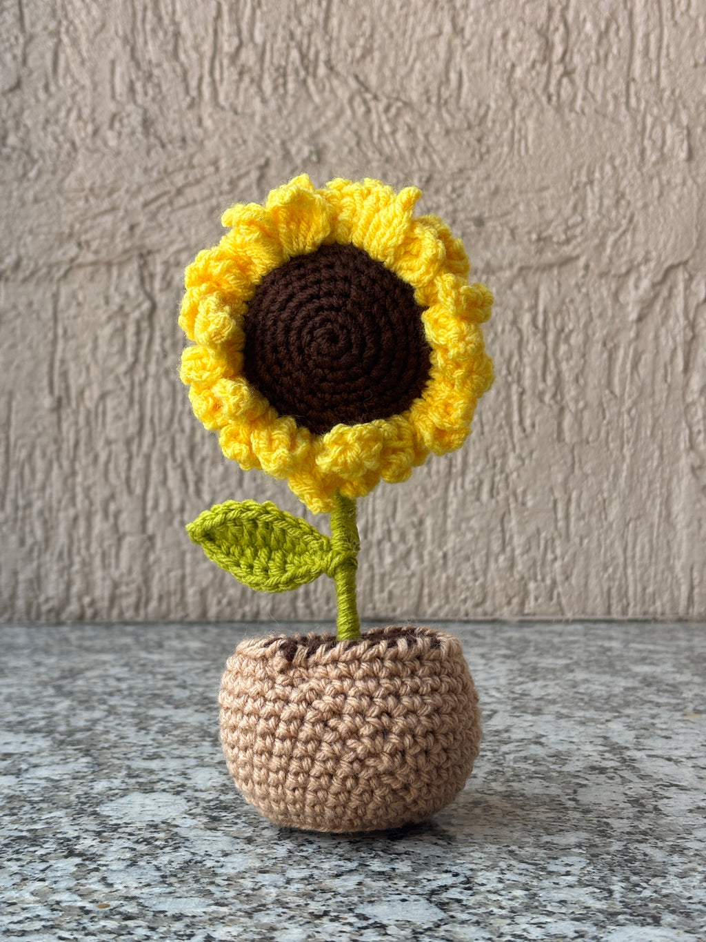 Crochet Flower Pots
