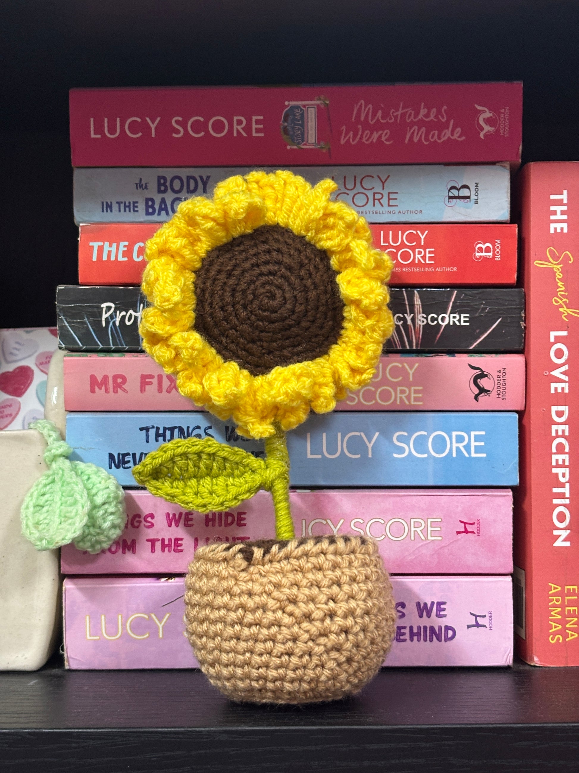 Crochet Flower Pots